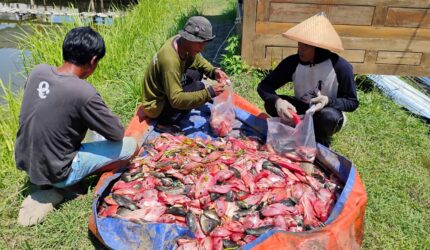 IMG 20260412 154305 6 x 4 inci